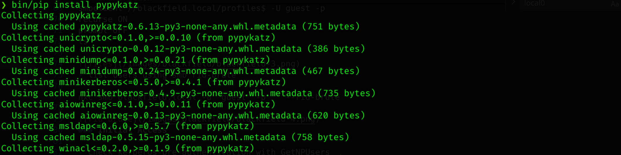 PyPykatz Installation